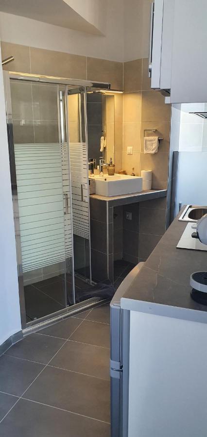 Nikis Penthouse Apartment เอเธนส์ ภายนอก รูปภาพ